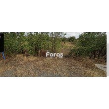Упи в кв. Банево за жилищно строителство с голямо лице