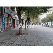 Партерен магазин, с лице на главната пешеходна  улица